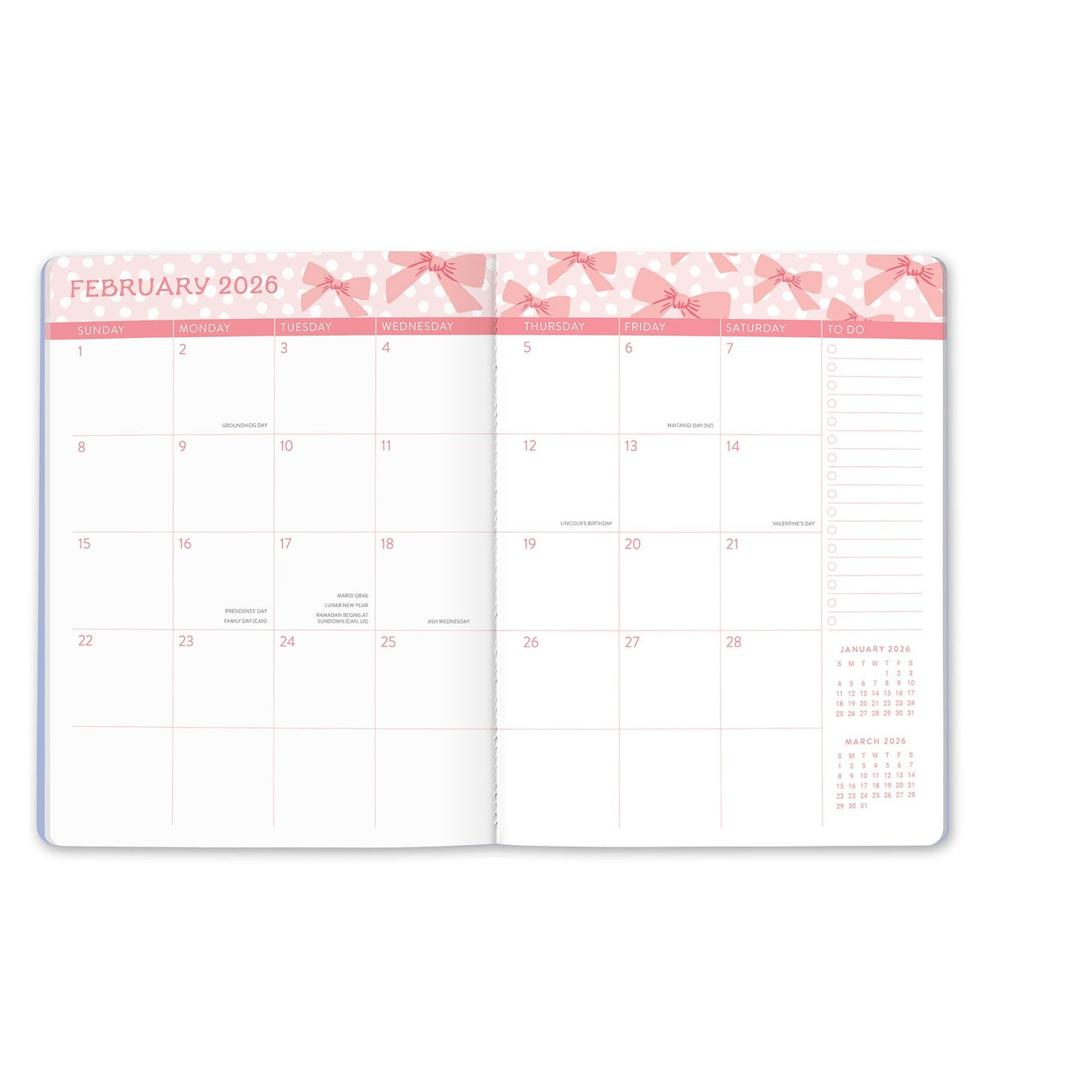 2026 Sweet Bow - Just Right 17-Month Monthly Diary/Planner