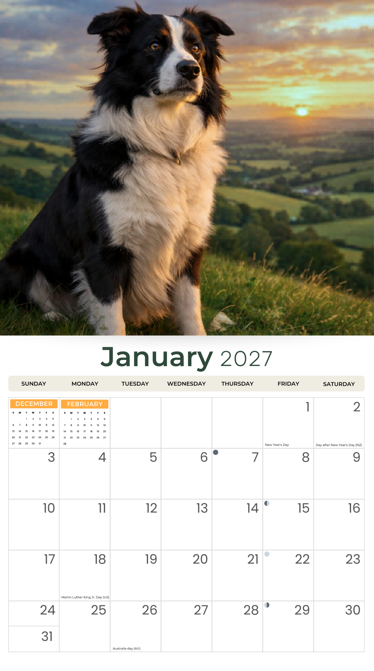 2027 Border Collies - Deluxe Wall Calendar