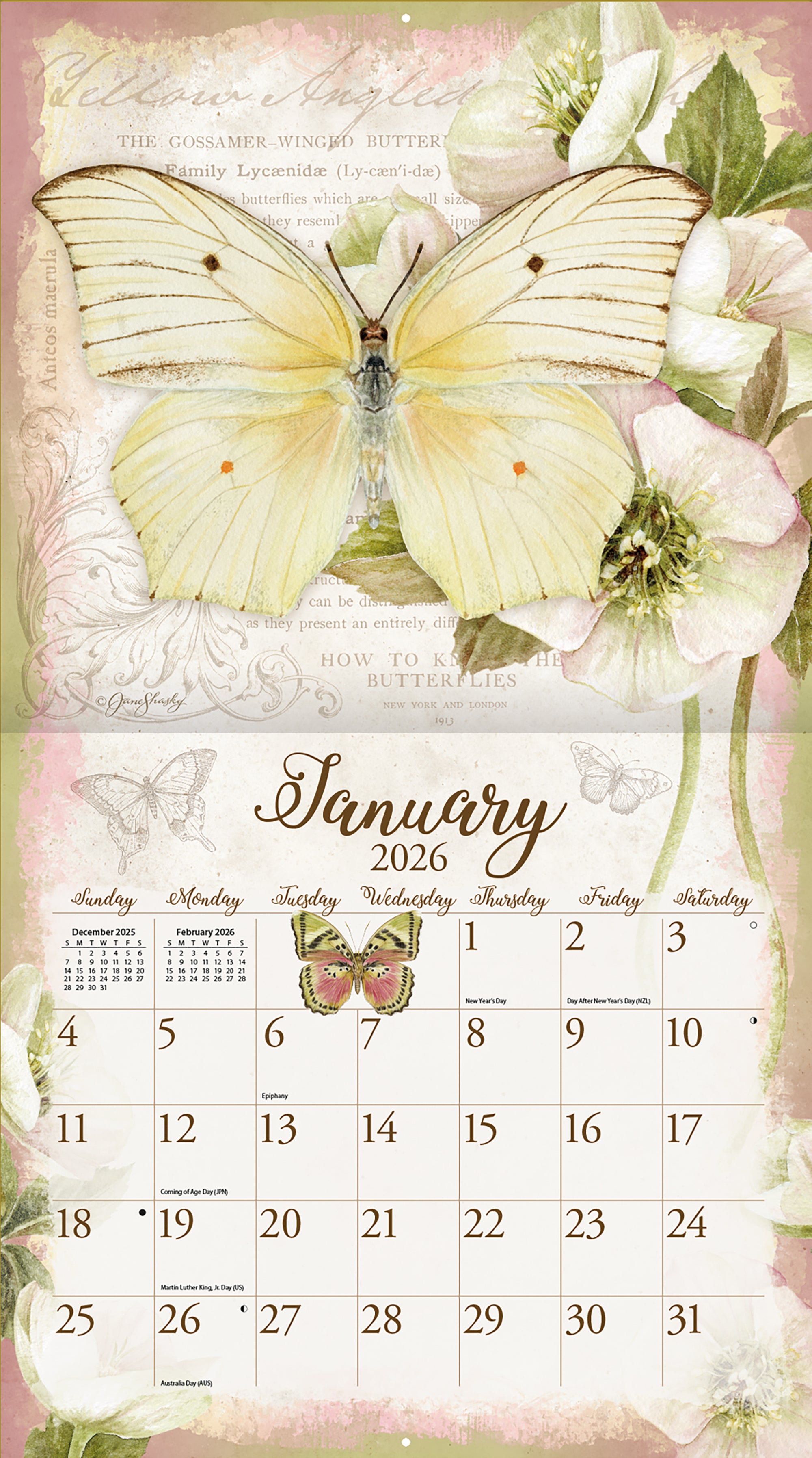 2026 LANG Butterflies - Deluxe Wall Calendar