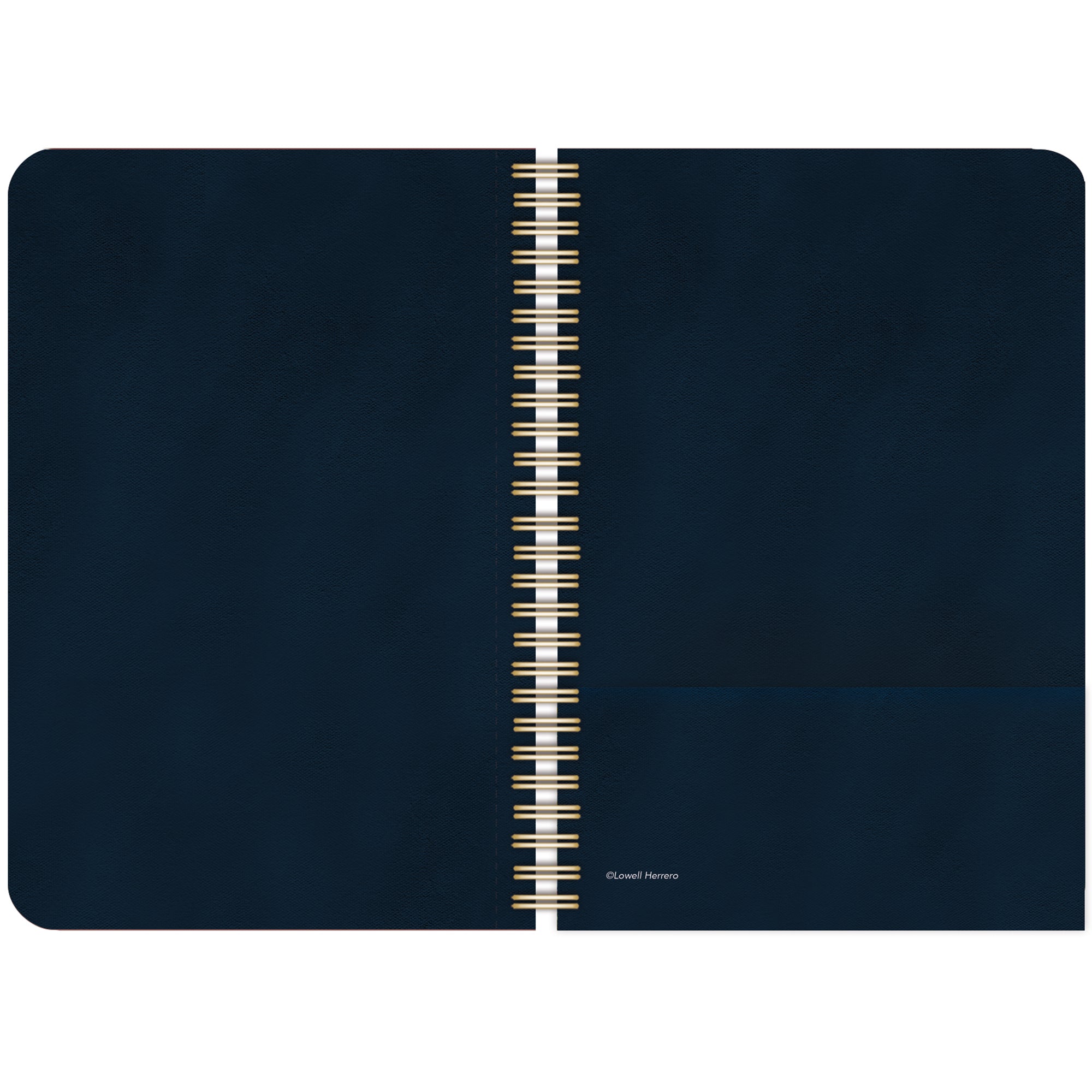 2026 LANG American Cat™ - Spiral Monthly & Weekly Engagement Diary/Planner