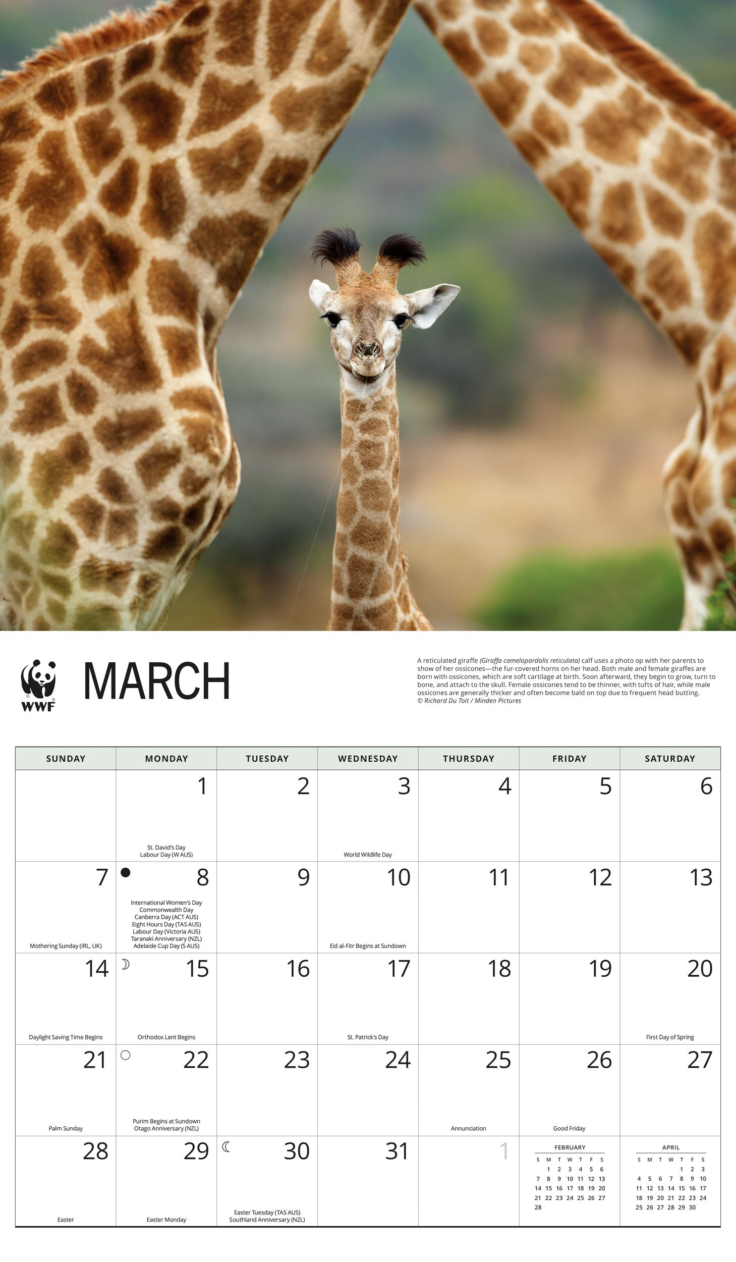 2027 WWF Giraffes - Deluxe Wall Calendar – image 3
