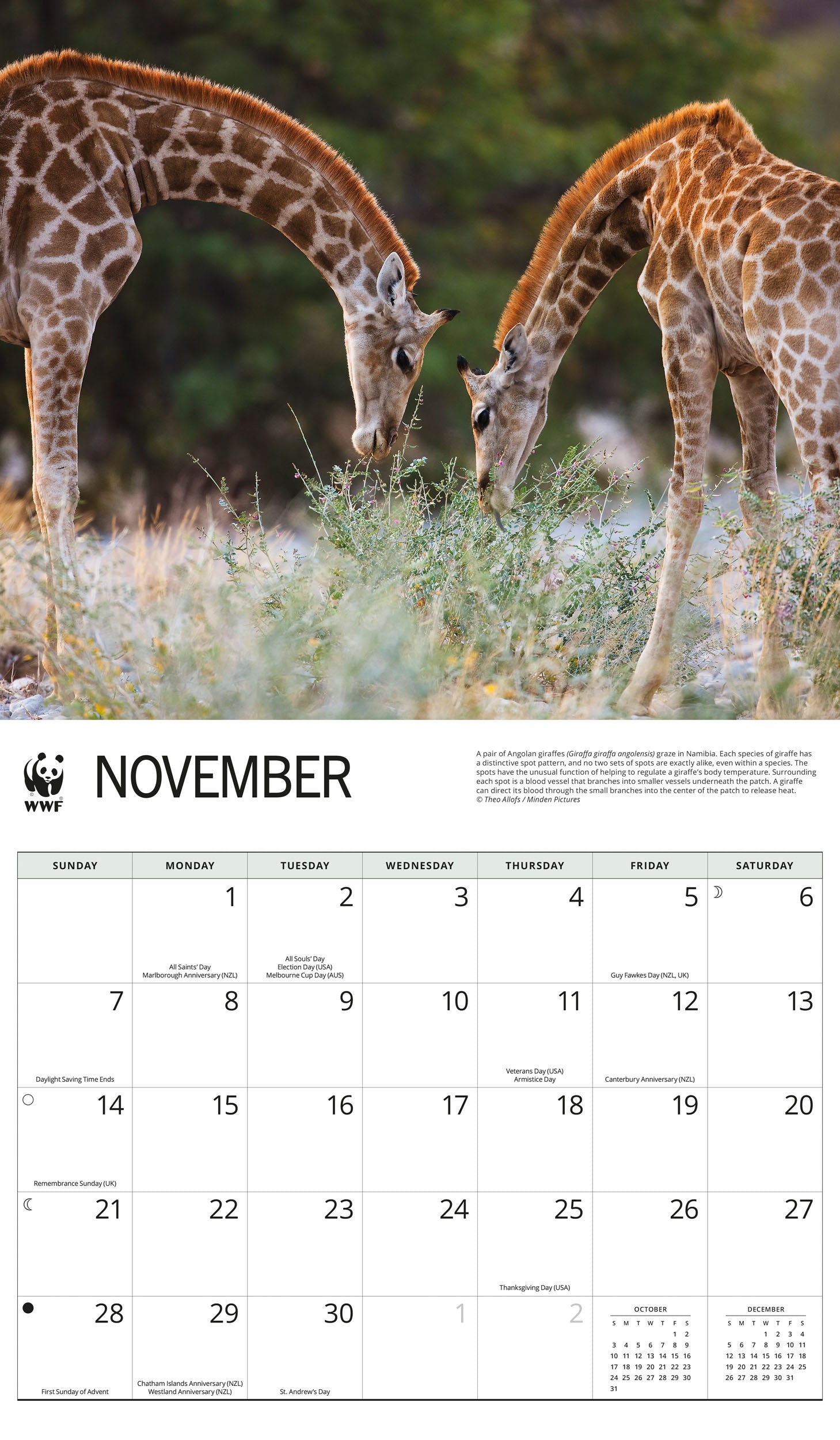 2027 WWF Giraffes - Deluxe Wall Calendar – image 5