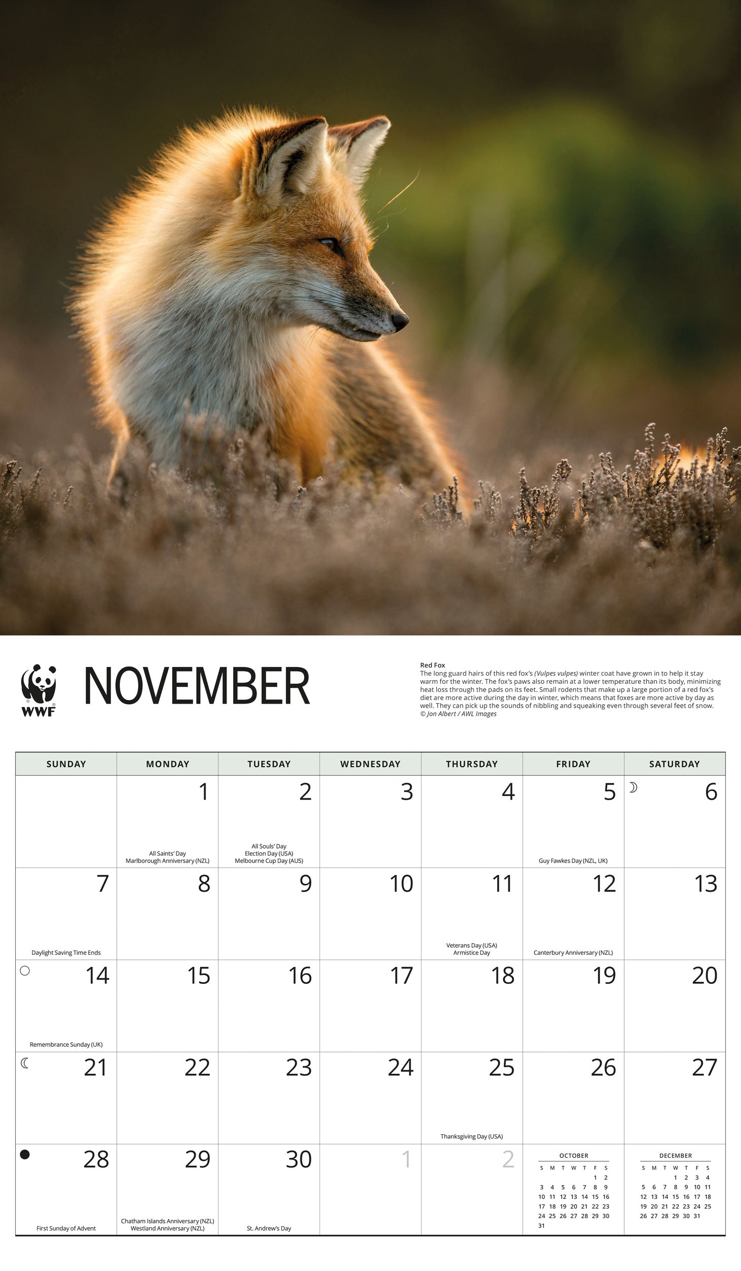 2027 WWF Foxes - Deluxe Wall Calendar – image 5