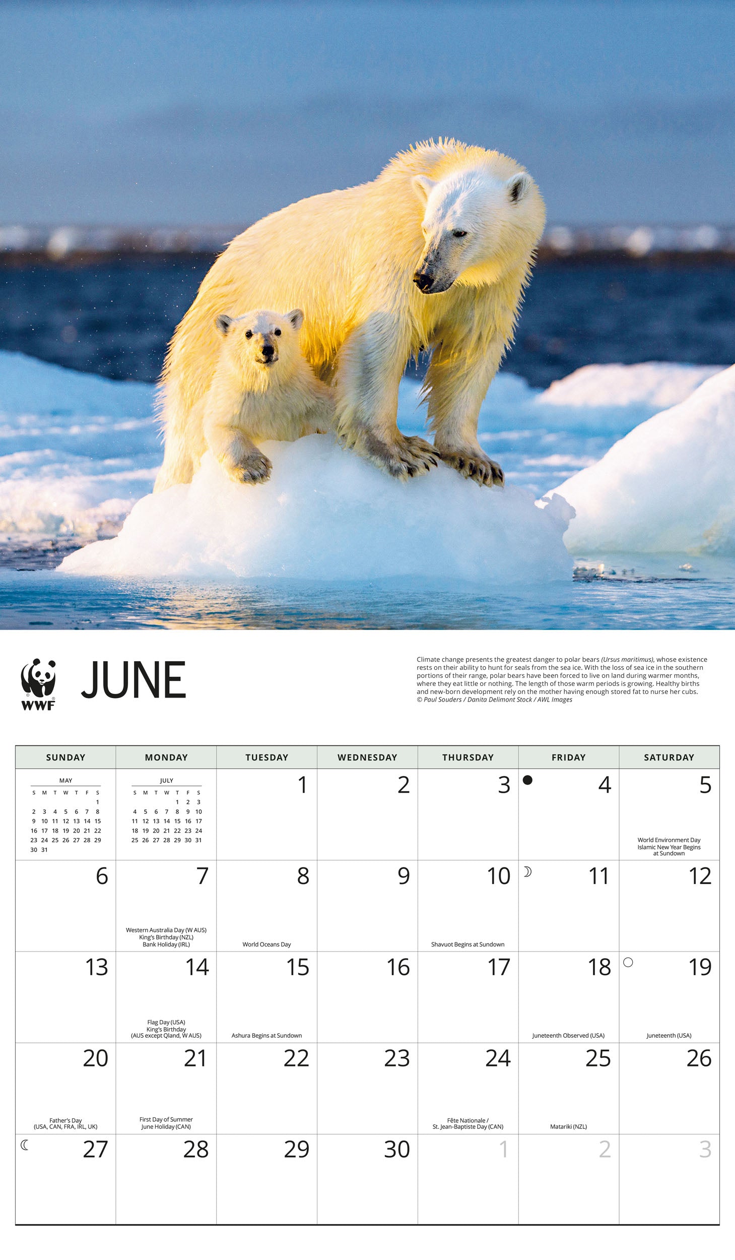 2027 WWF Polar Bears - Deluxe Wall Calendar – image 4
