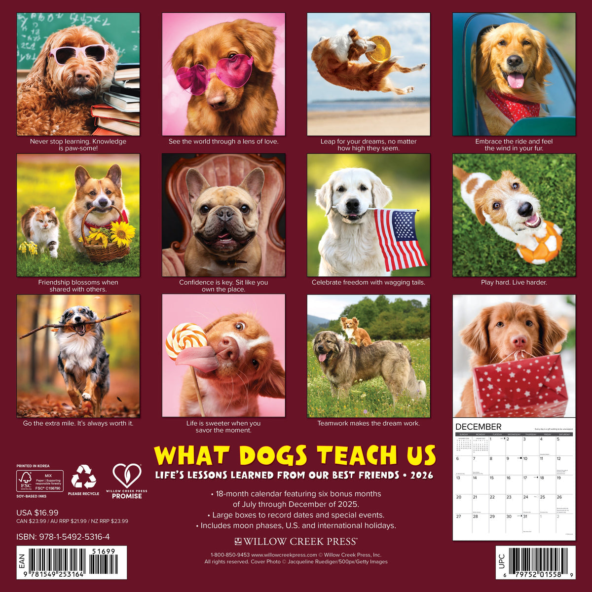 2026 What Dogs Teach Us - Square Wall Calendar