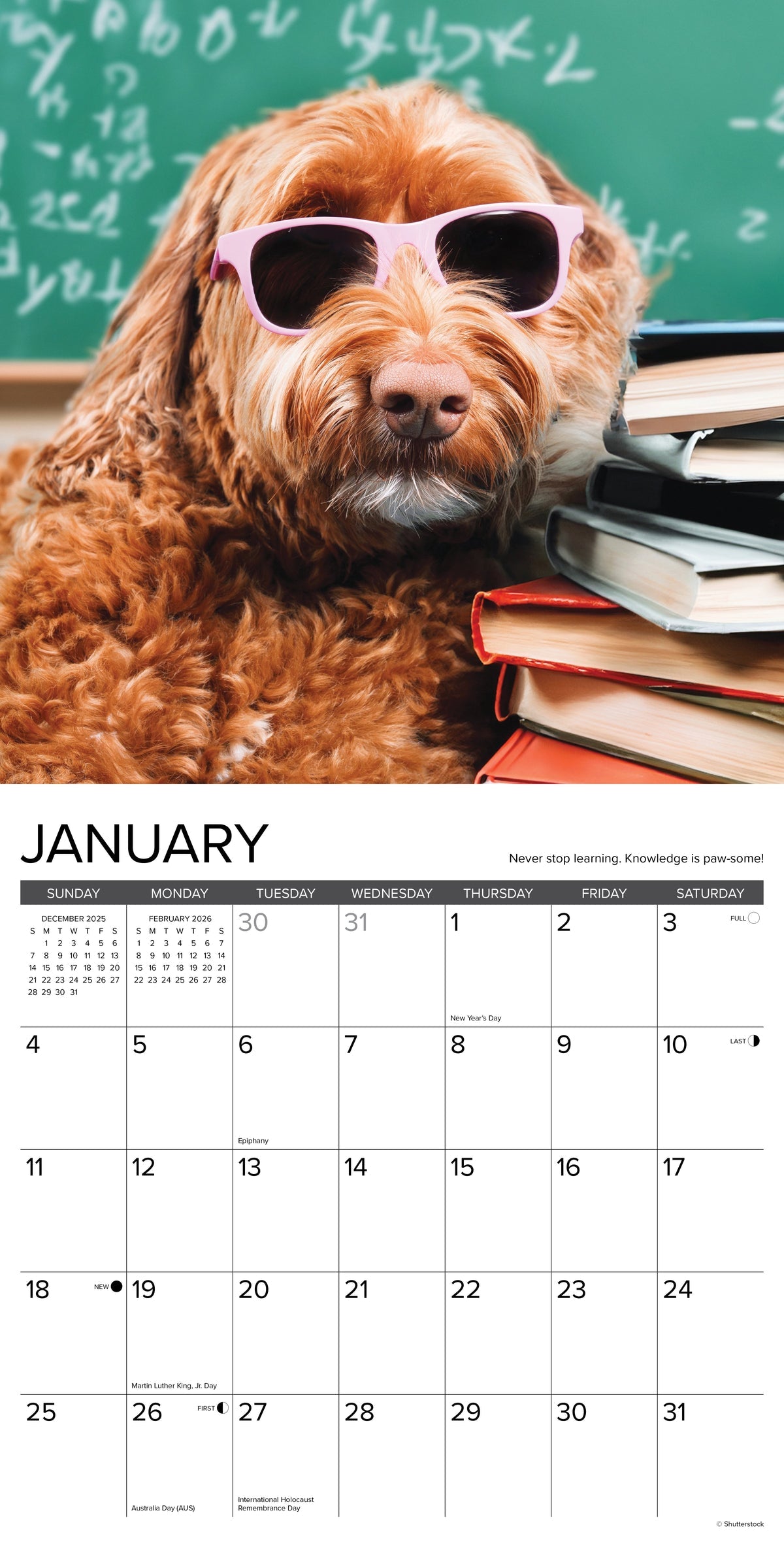 2026 What Dogs Teach Us - Square Wall Calendar