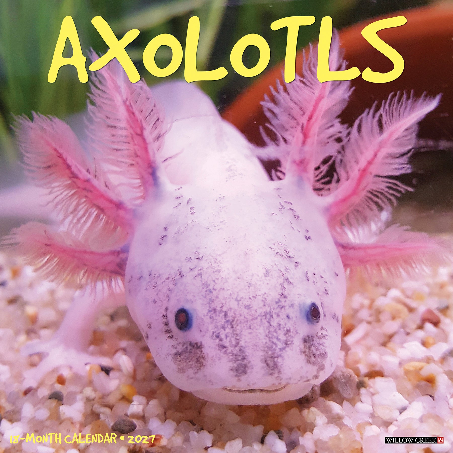 58947.jpg