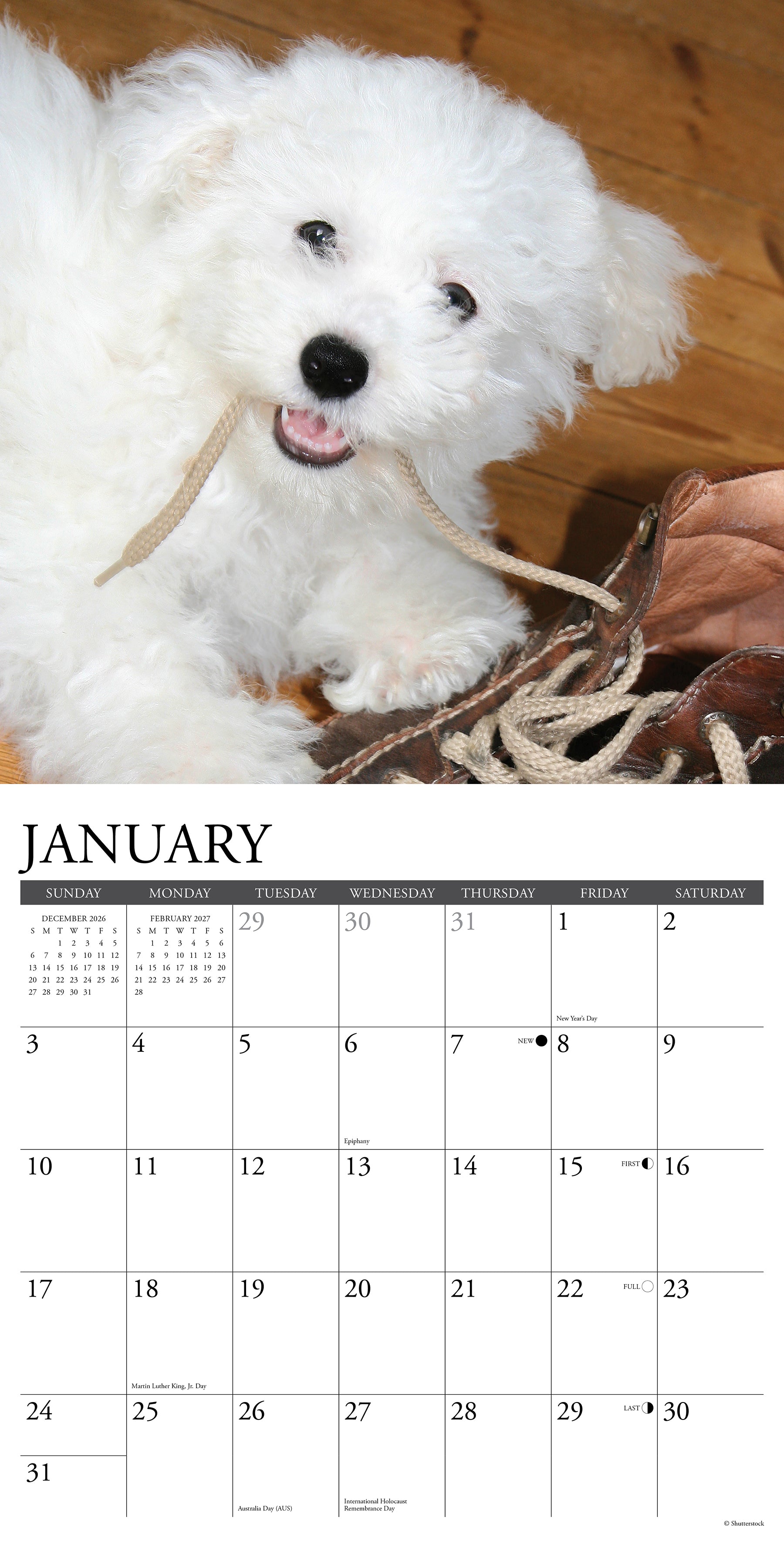 59197_2.jpg