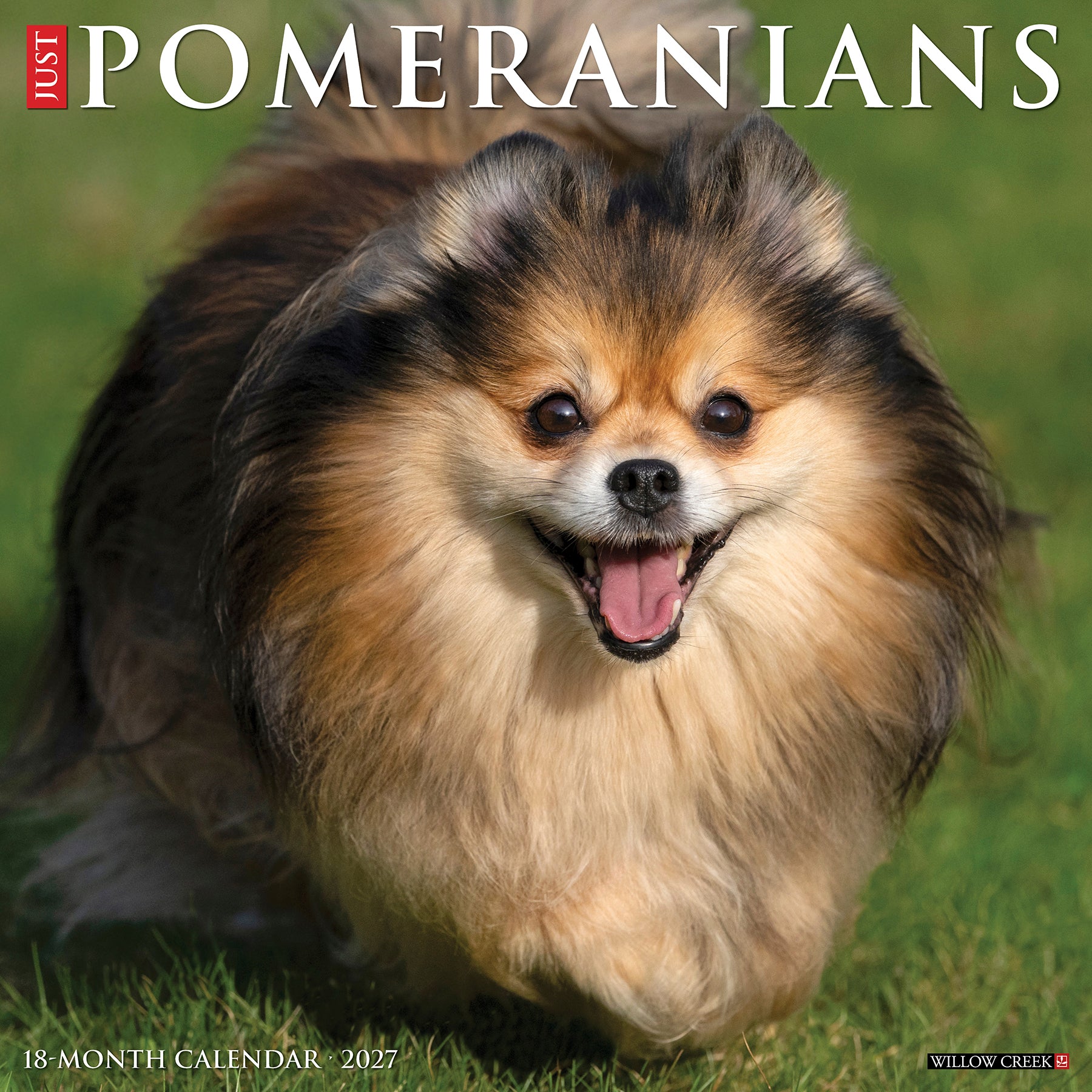 61855.jpg