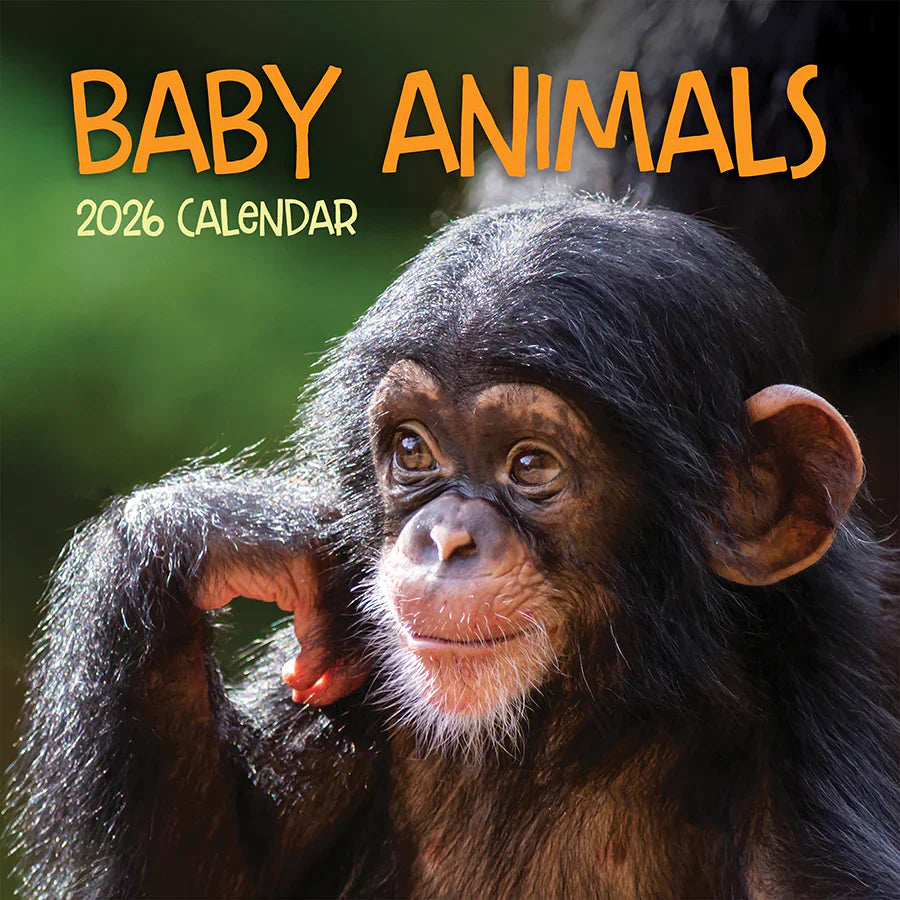 2026 Baby Animals - Square Wall Calendar