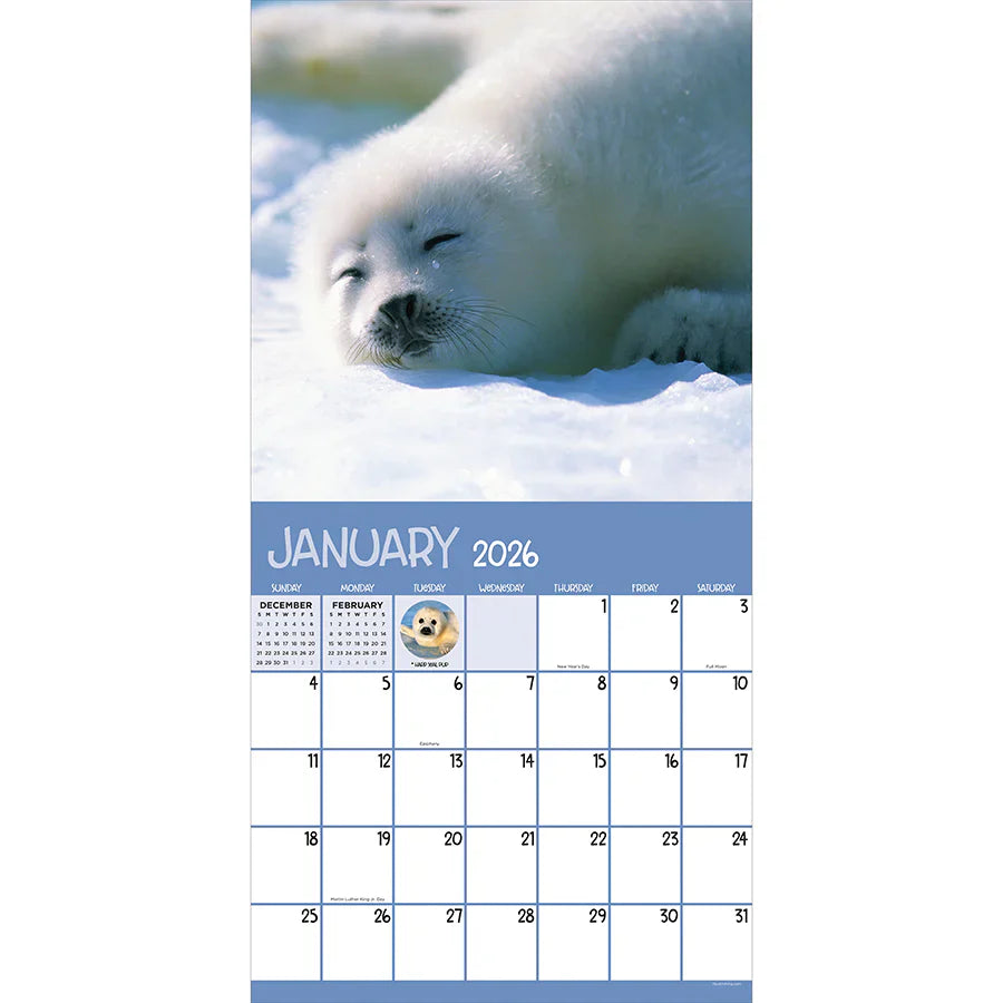 2026 Baby Animals - Square Wall Calendar