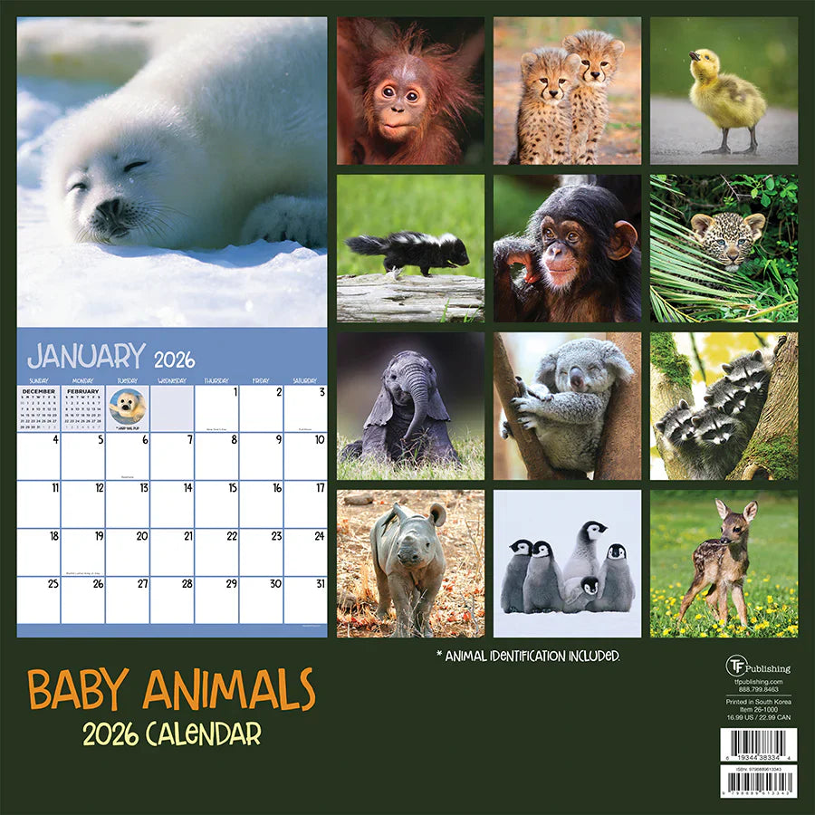 2026 Baby Animals - Square Wall Calendar