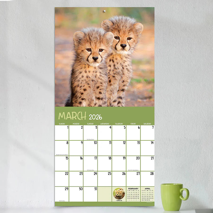 2026 Baby Animals - Square Wall Calendar