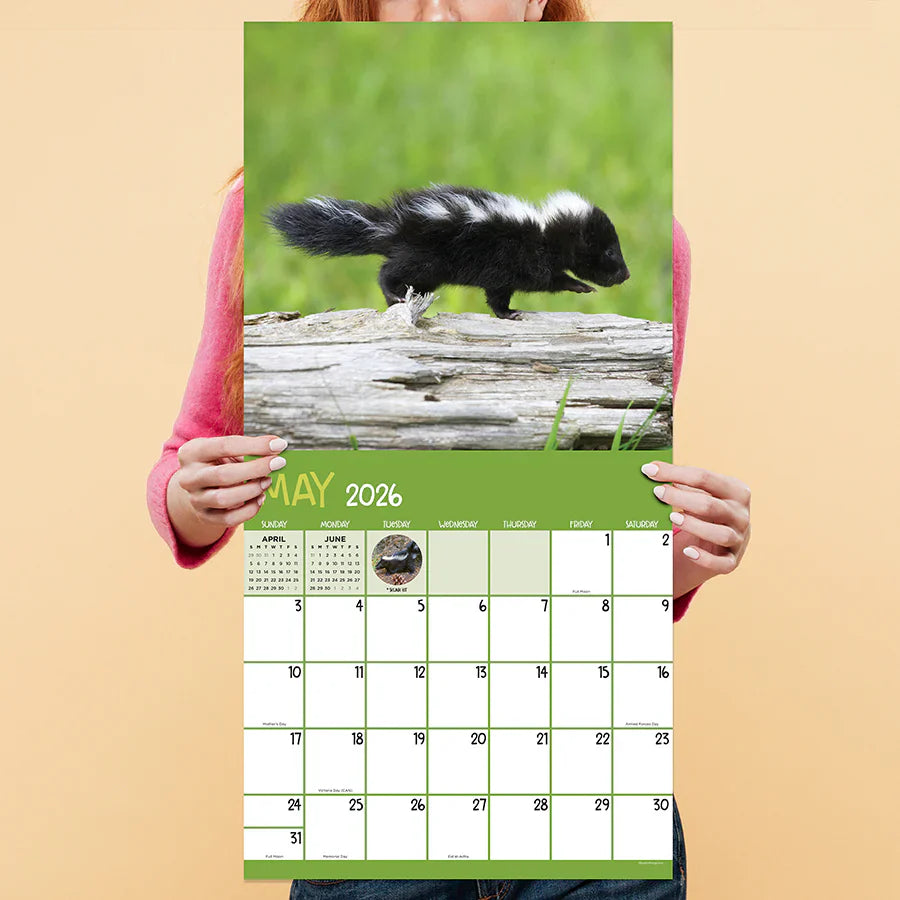 2026 Baby Animals - Square Wall Calendar