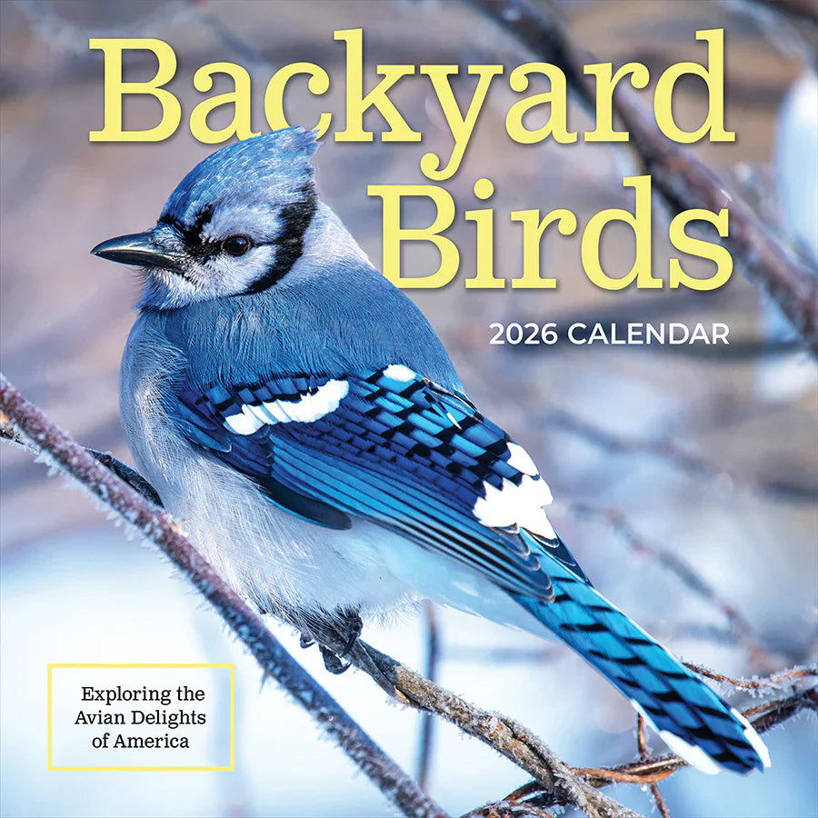 2026 Backyard Birds - Square Wall Calendar