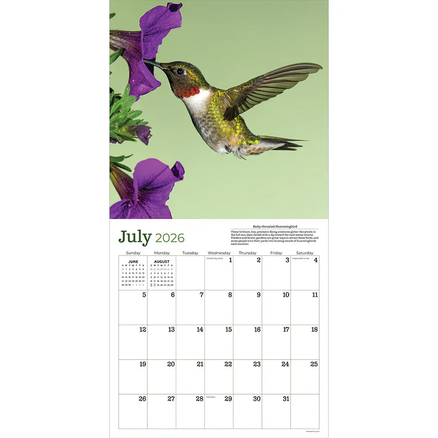 2026 Backyard Birds - Square Wall Calendar