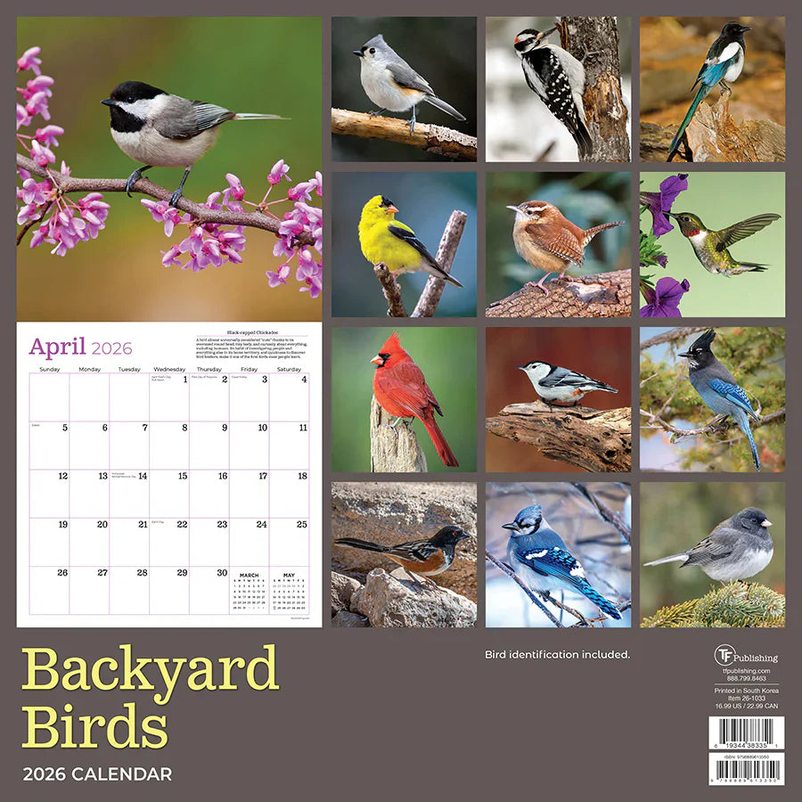 2026 Backyard Birds - Square Wall Calendar