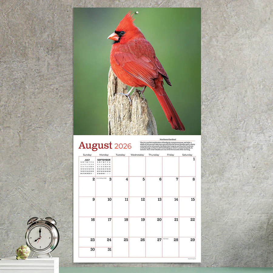 2026 Backyard Birds - Square Wall Calendar