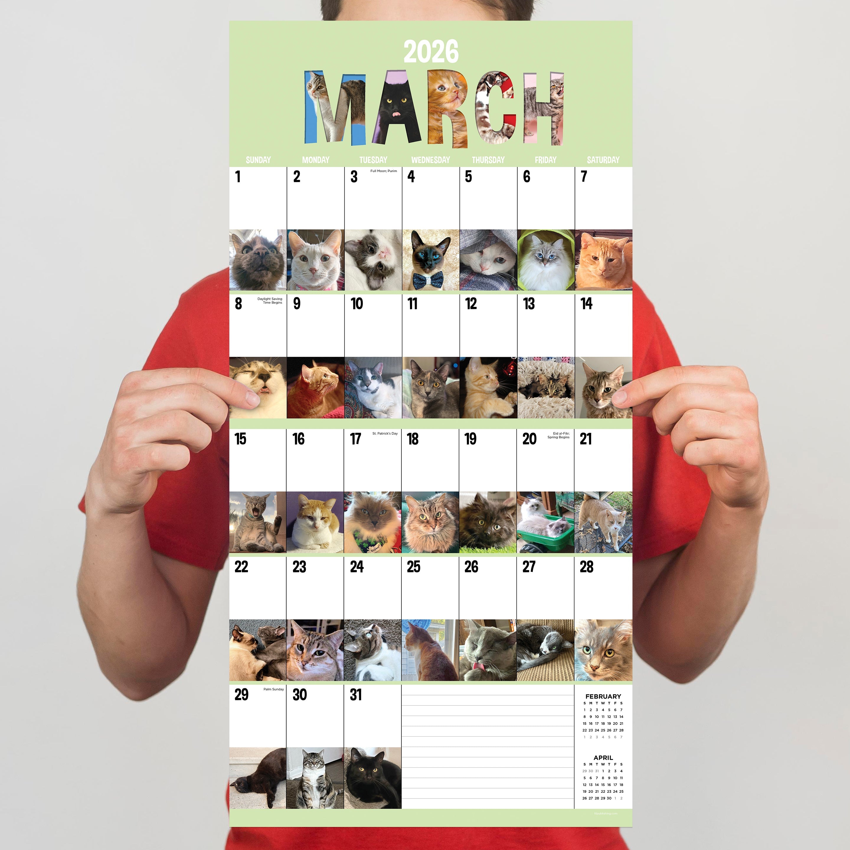 2026 Cat-A-Day - Square Wall Calendar