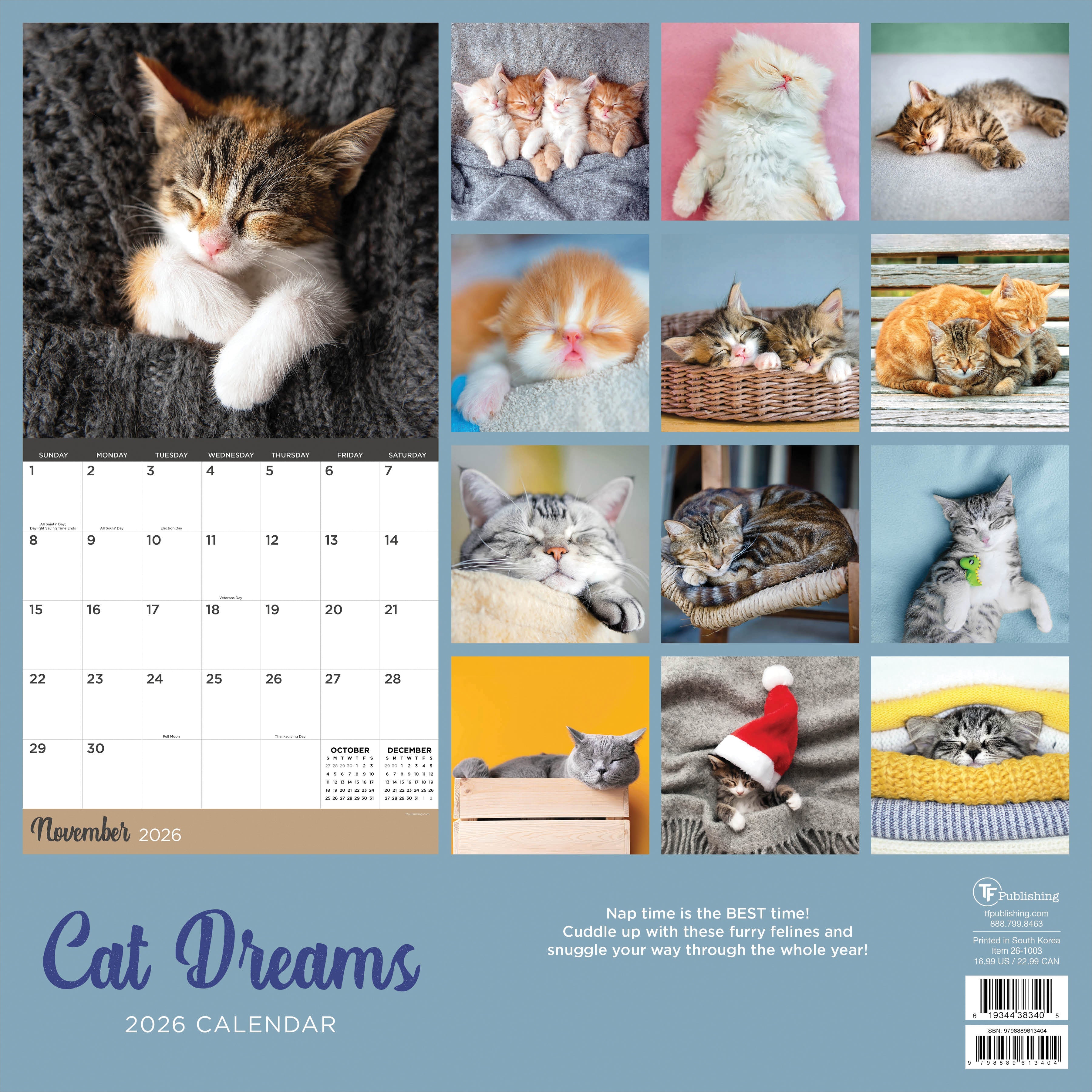 2026 Cat Dreams - Square Wall Calendar