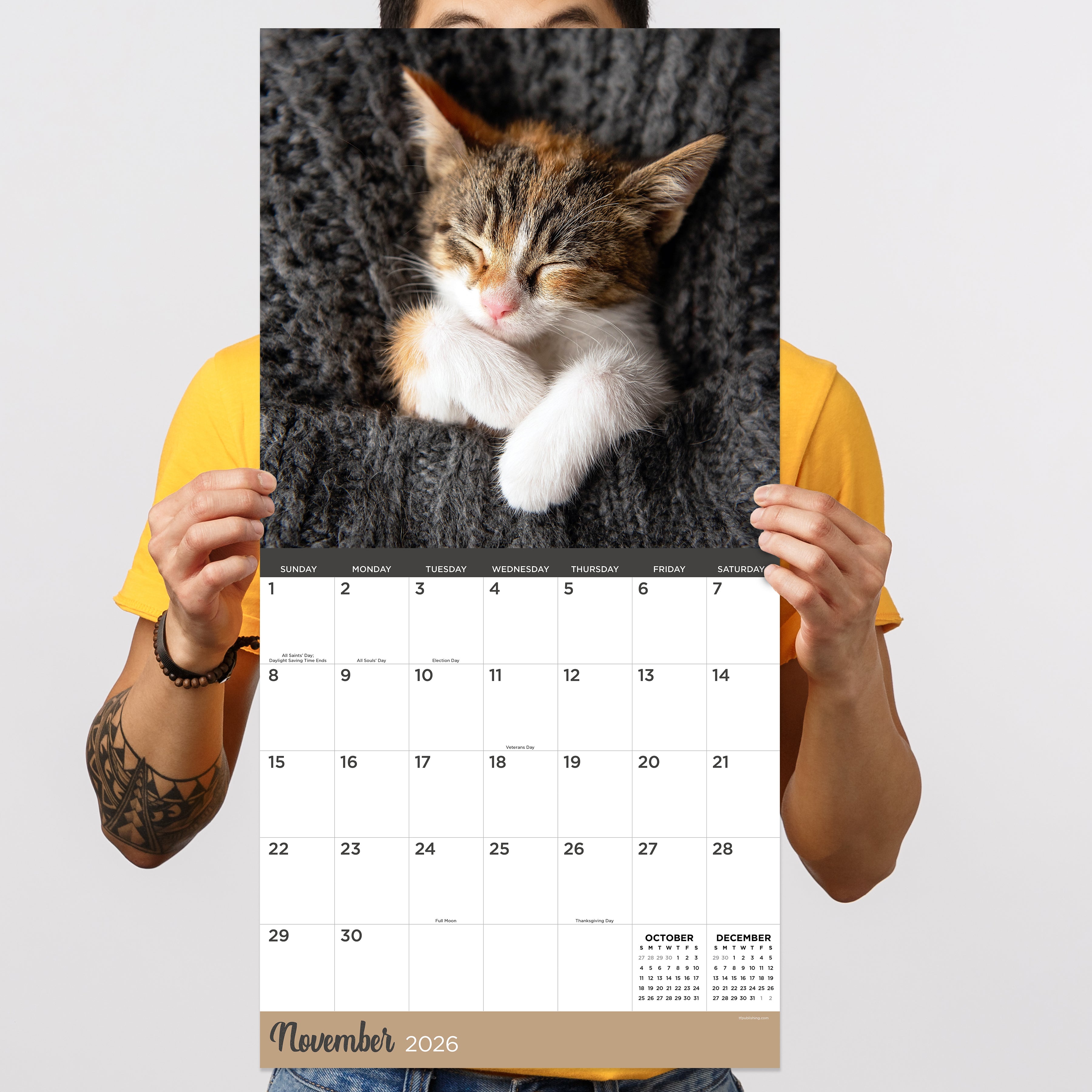 2026 Cat Dreams - Square Wall Calendar