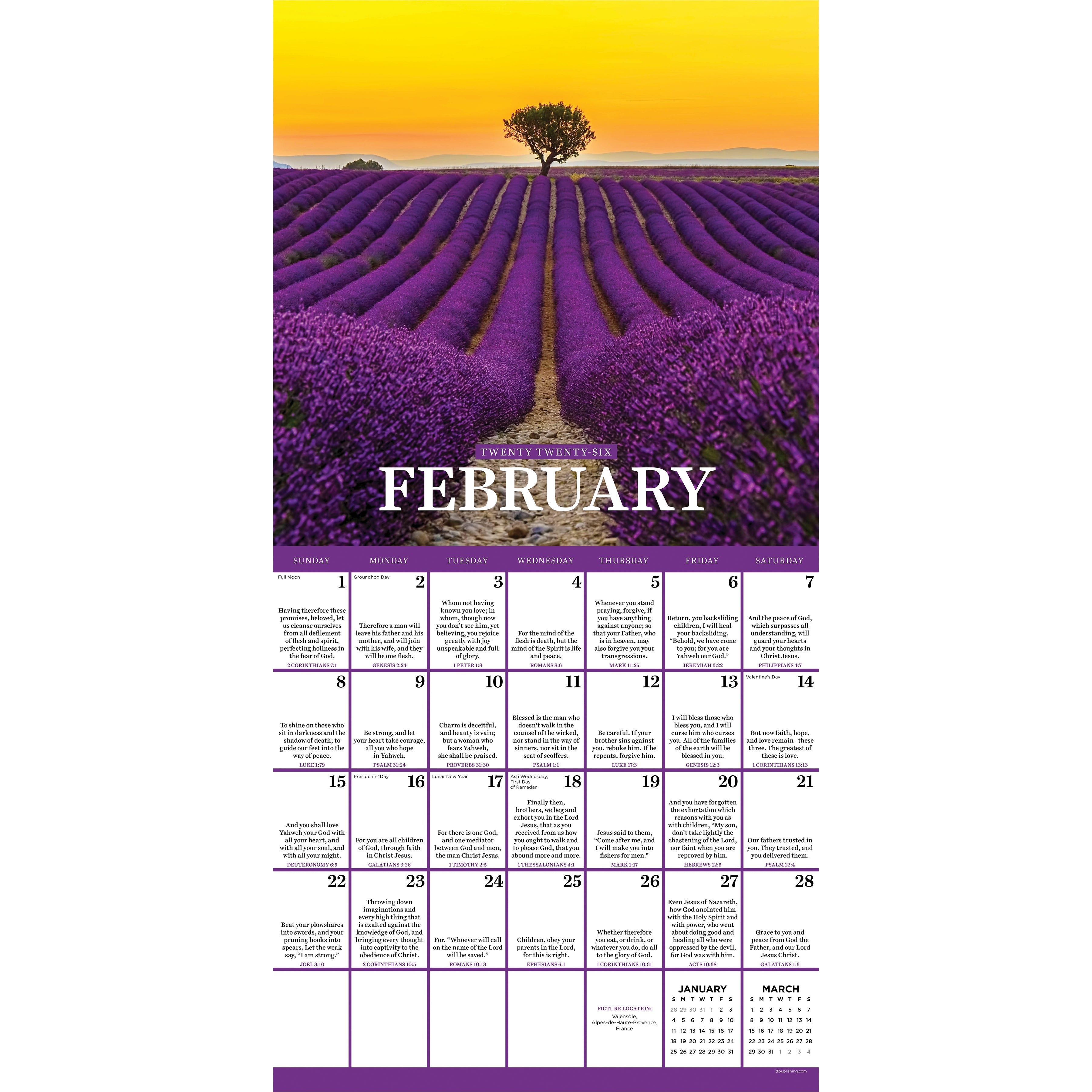 2026 Daily Verse - Square Wall Calendar