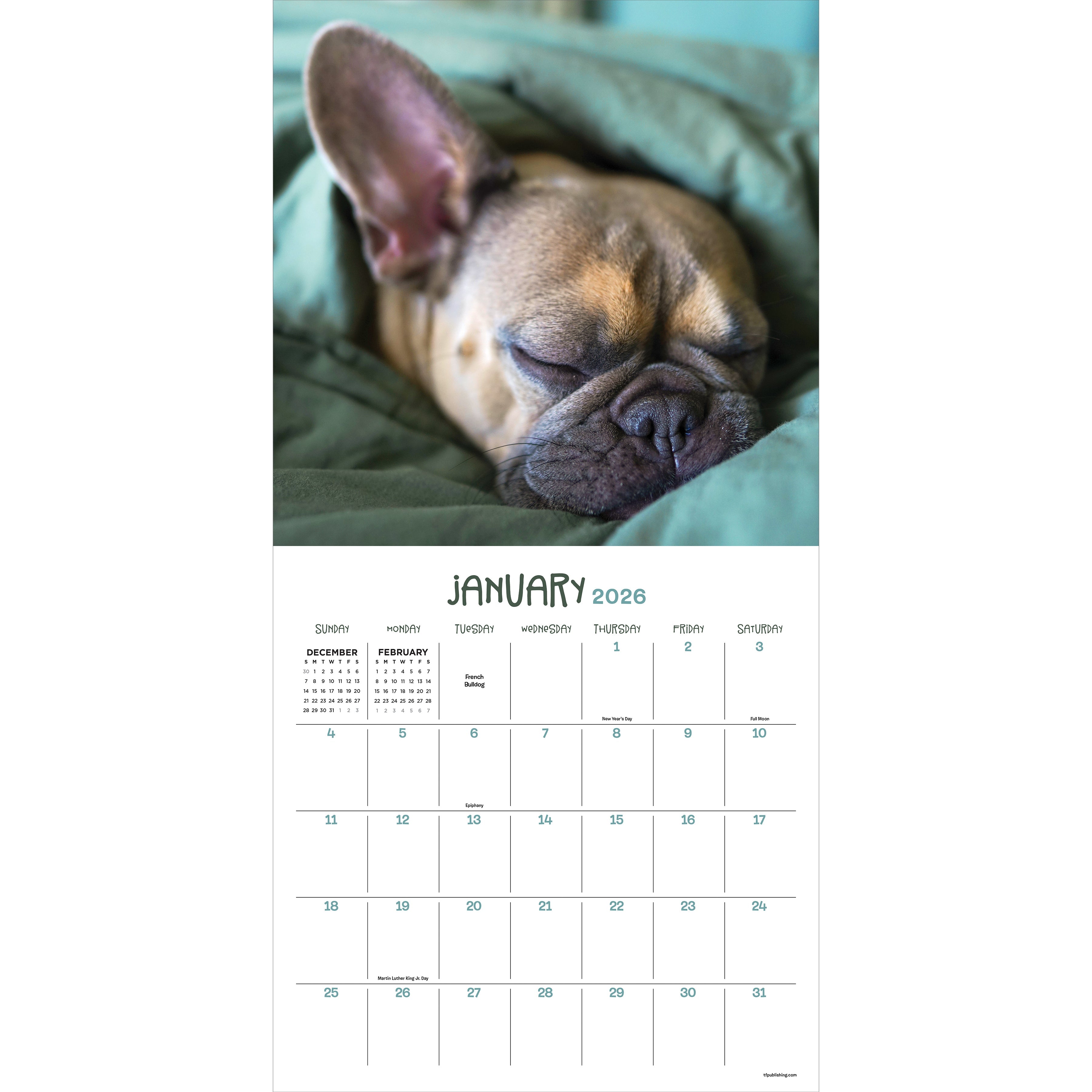 2026 Dog Dreams - Square Wall Calendar