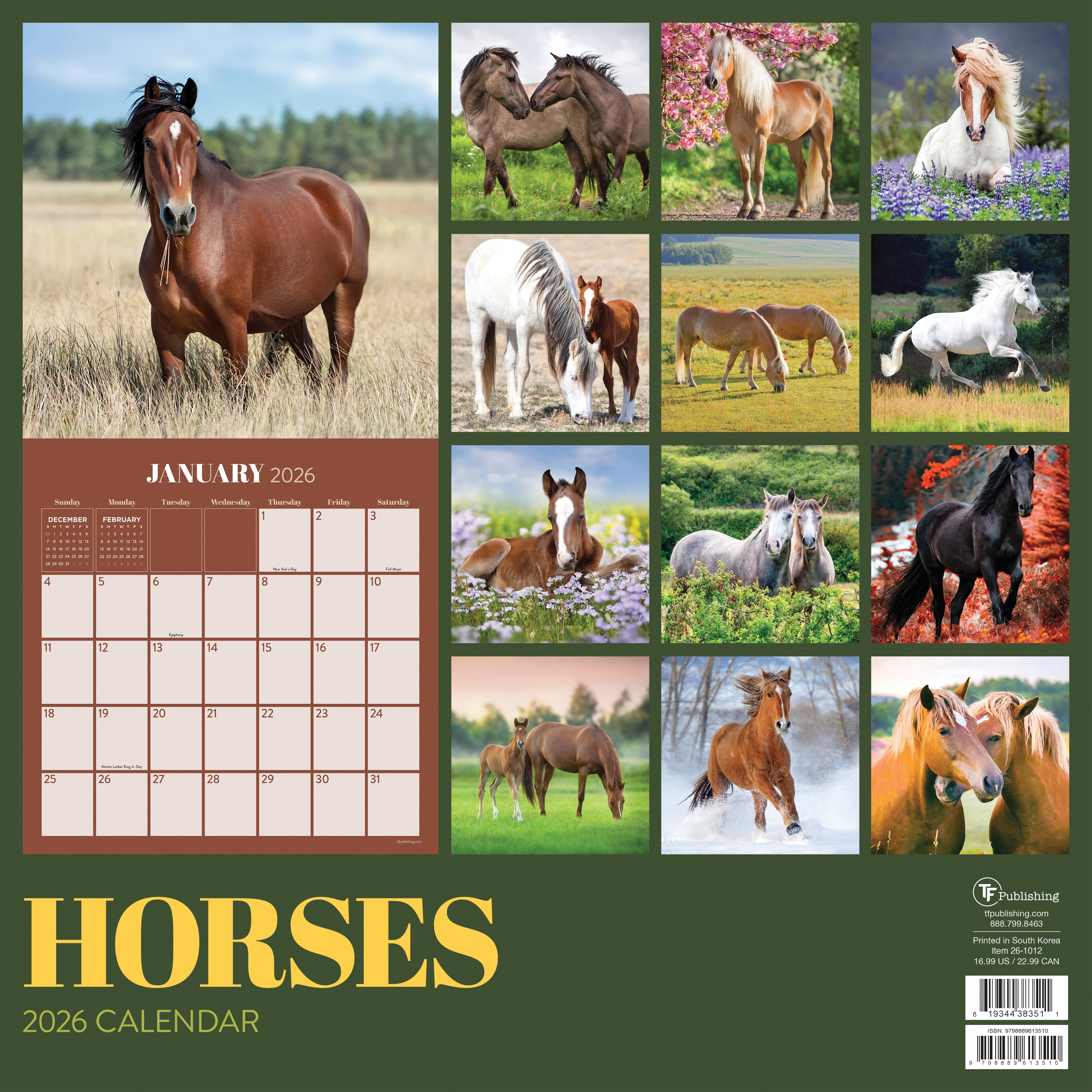 2026 Horses - Square Wall Calendar