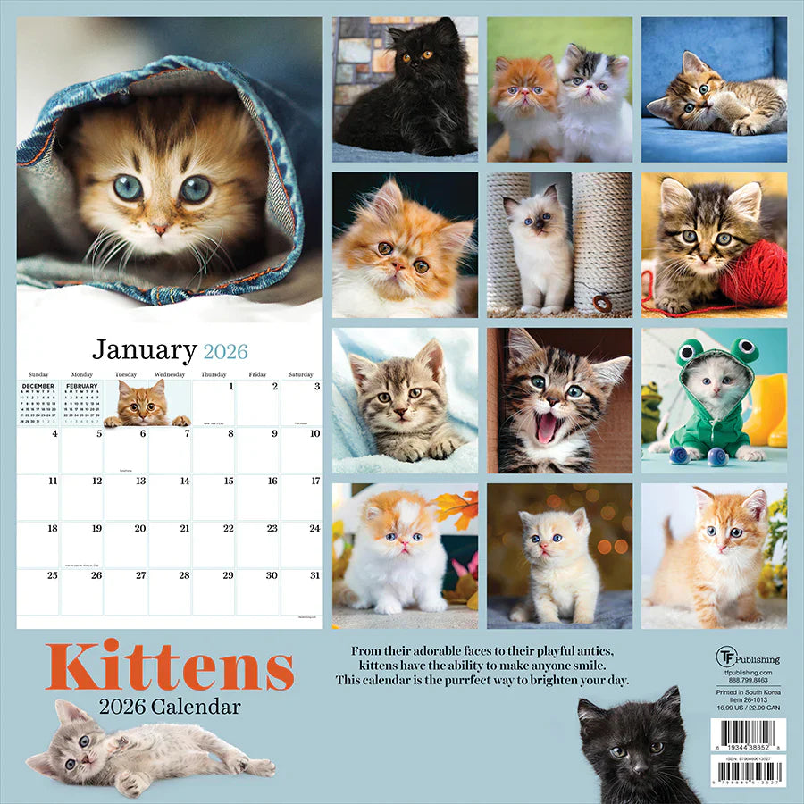 2026 Kittens - Square Wall Calendar