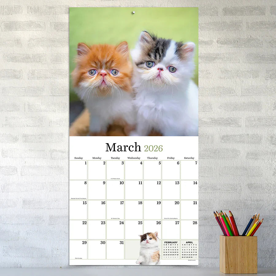 2026 Kittens - Square Wall Calendar