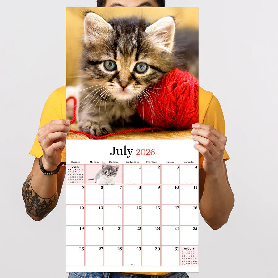 2026 Kittens - Square Wall Calendar