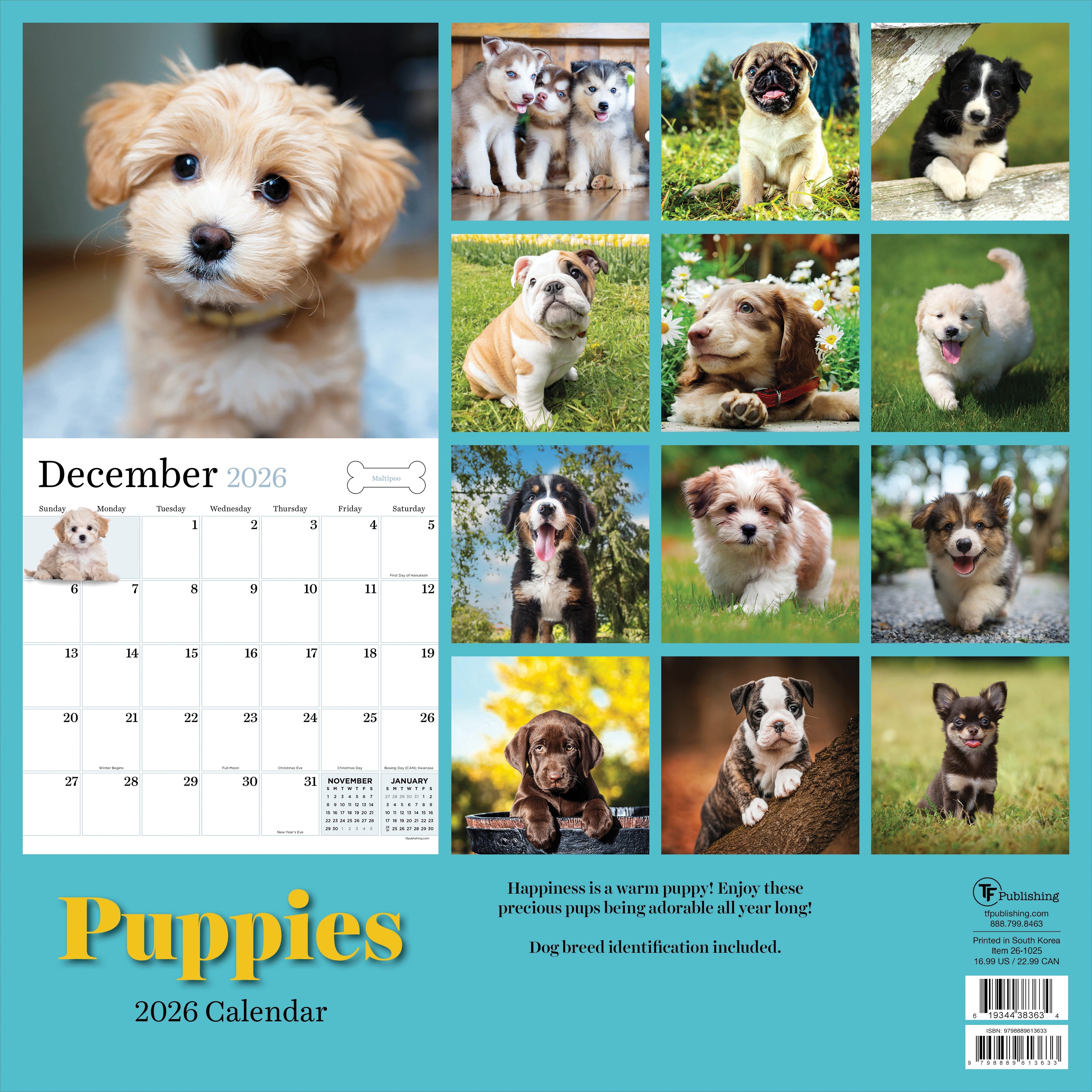 2026 Puppies - Square Wall Calendar