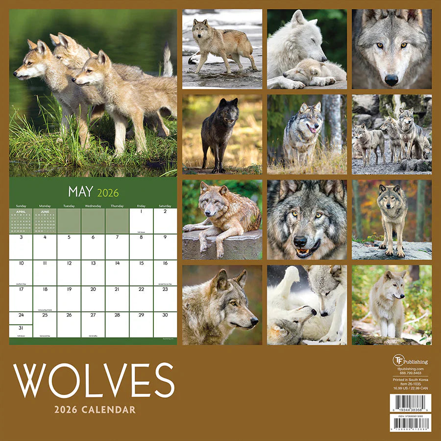 2026 Wolves - Square Wall Calendar