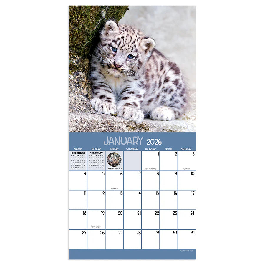 2026 Baby Animals - Mini Wall Calendar