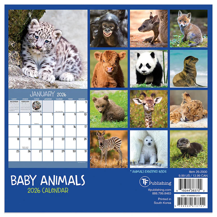 2026 Baby Animals - Mini Wall Calendar