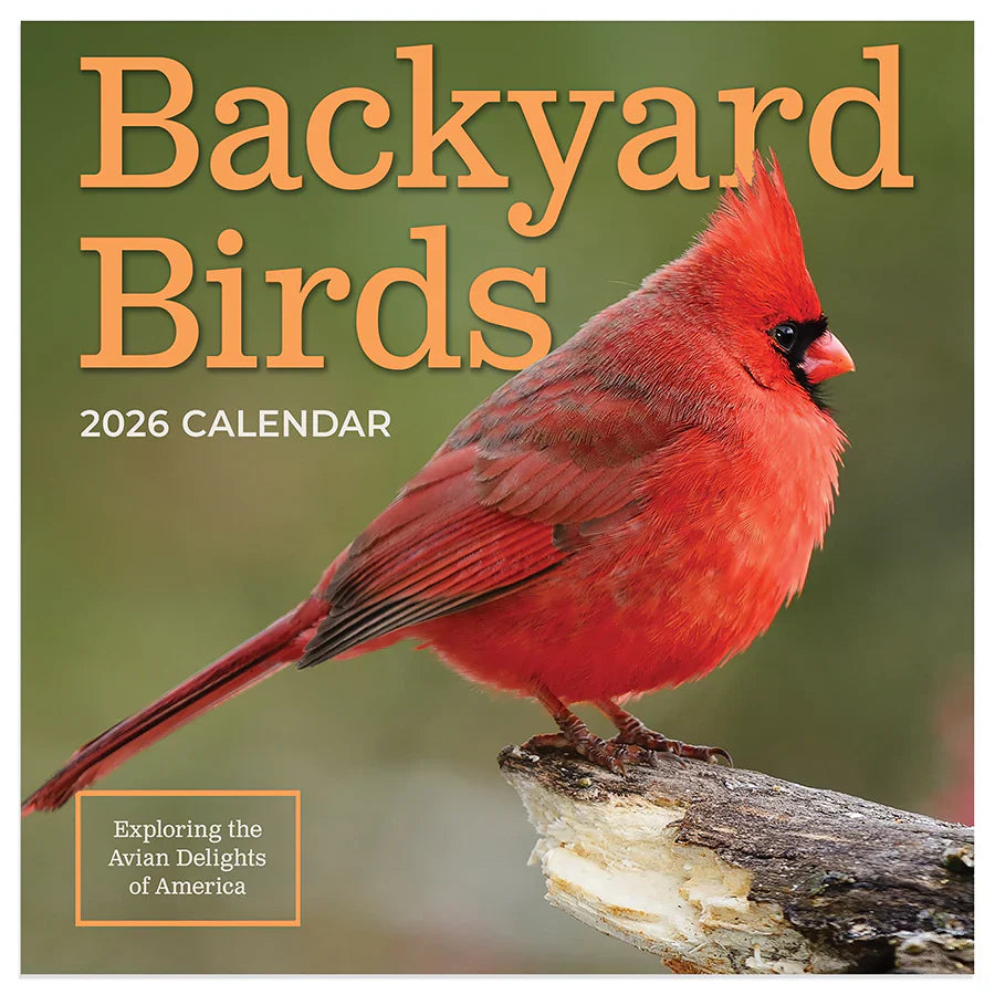 2026 Backyard Birds - Mini Wall Calendar