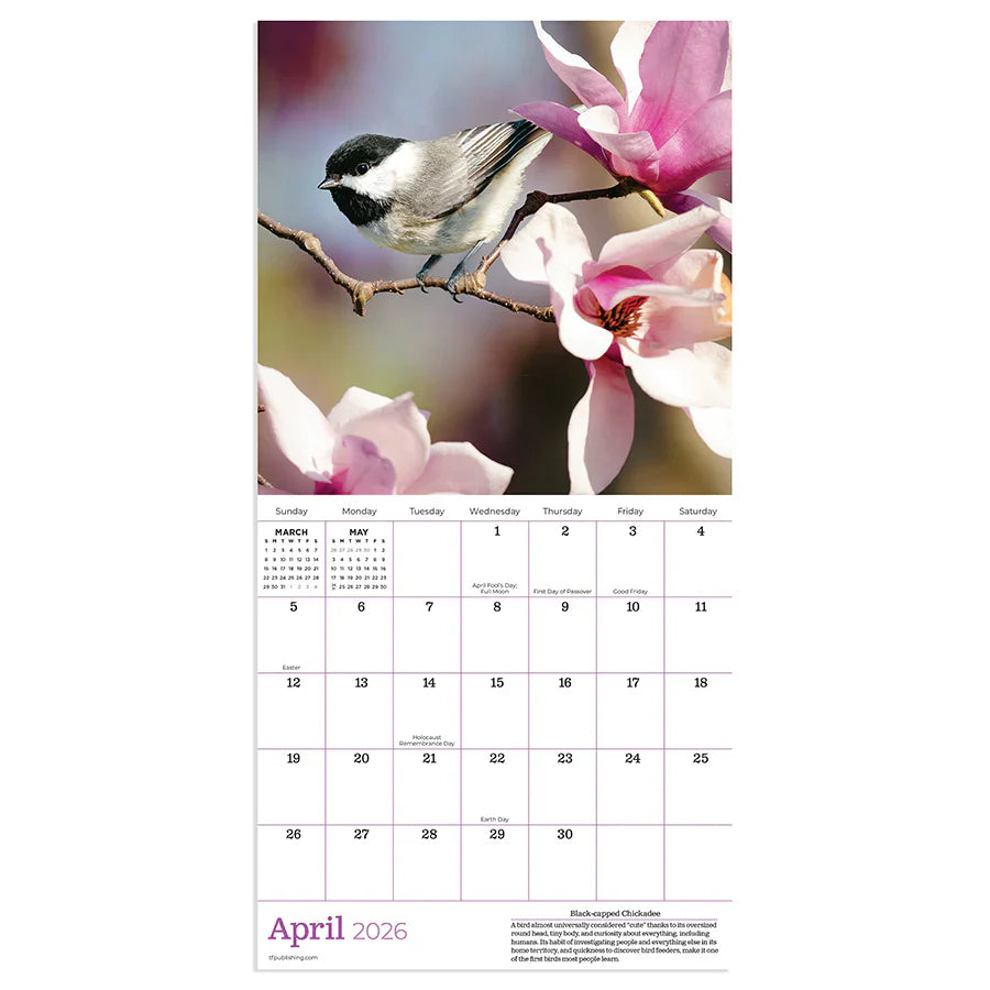 2026 Backyard Birds - Mini Wall Calendar