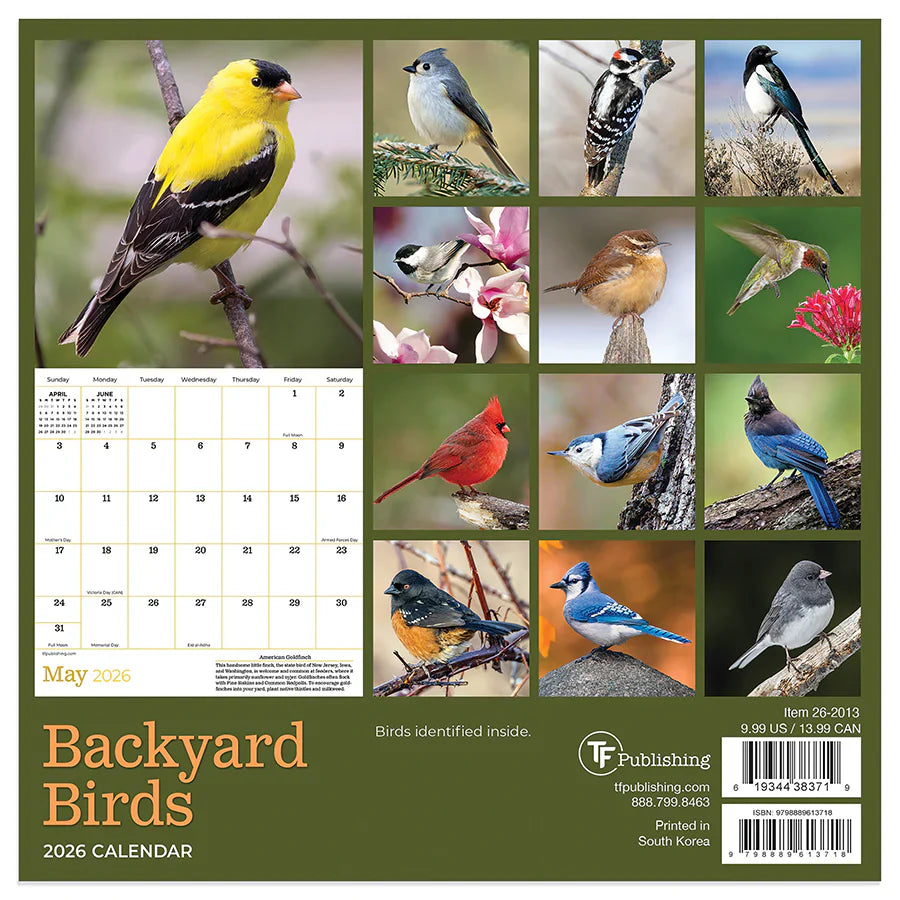 2026 Backyard Birds - Mini Wall Calendar