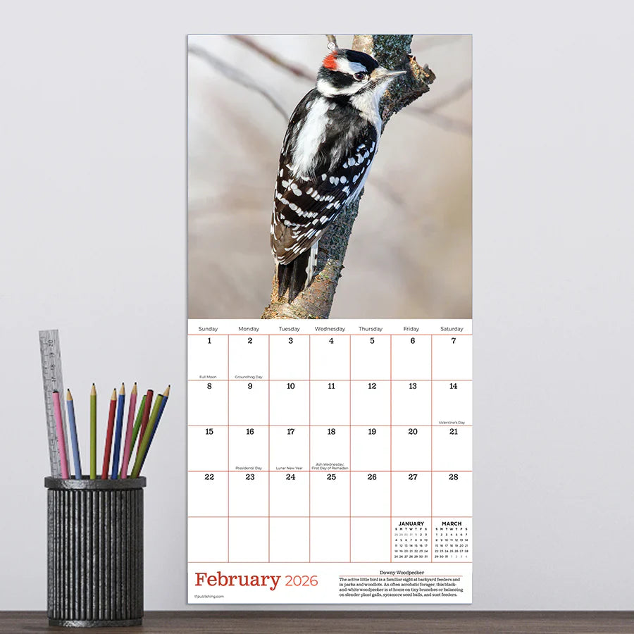 2026 Backyard Birds - Mini Wall Calendar