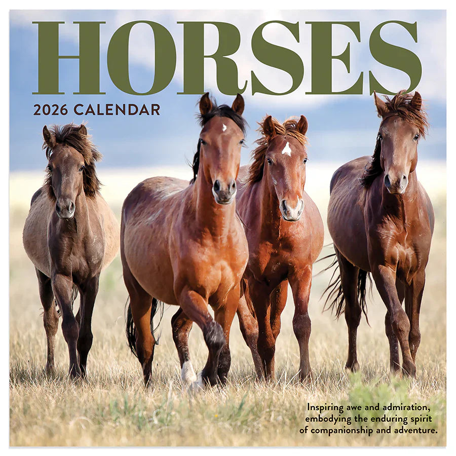 2026 Horses - Mini Wall Calendar