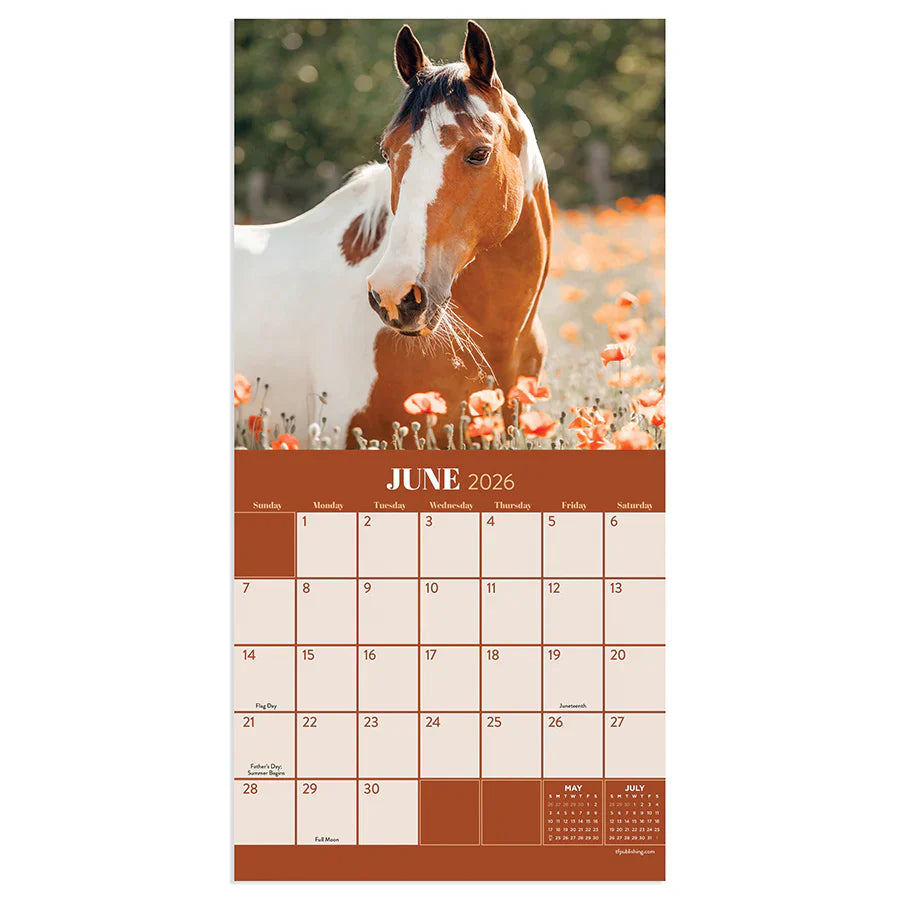 2026 Horses - Mini Wall Calendar