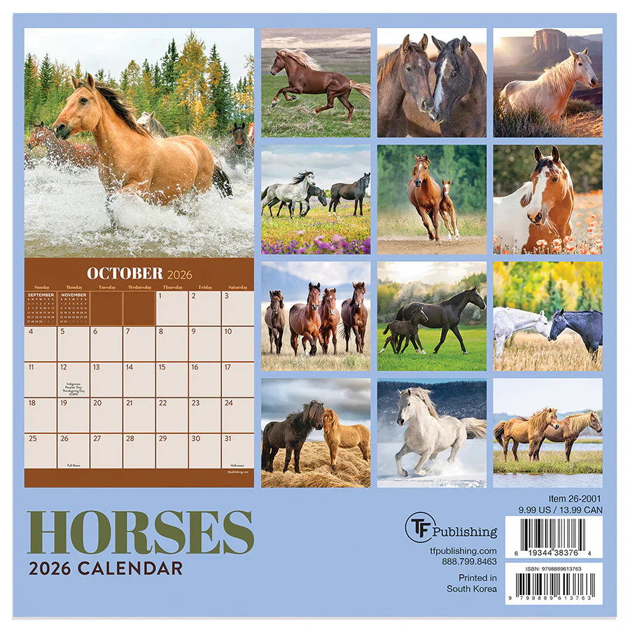 2026 Horses - Mini Wall Calendar