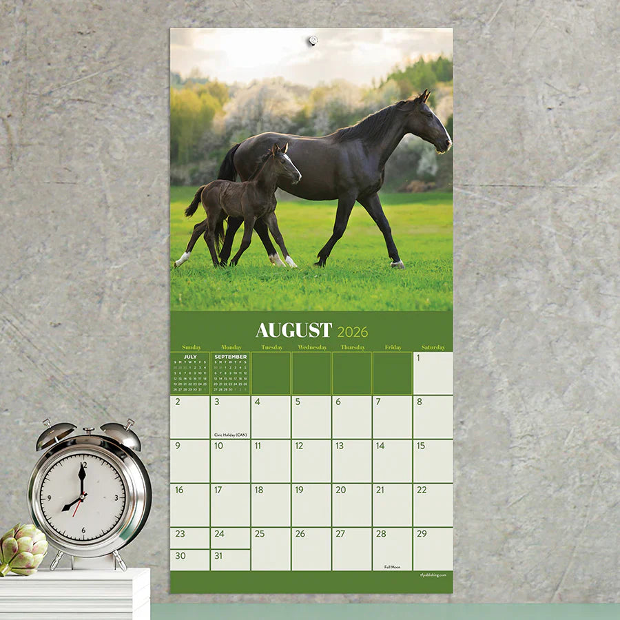 2026 Horses - Mini Wall Calendar