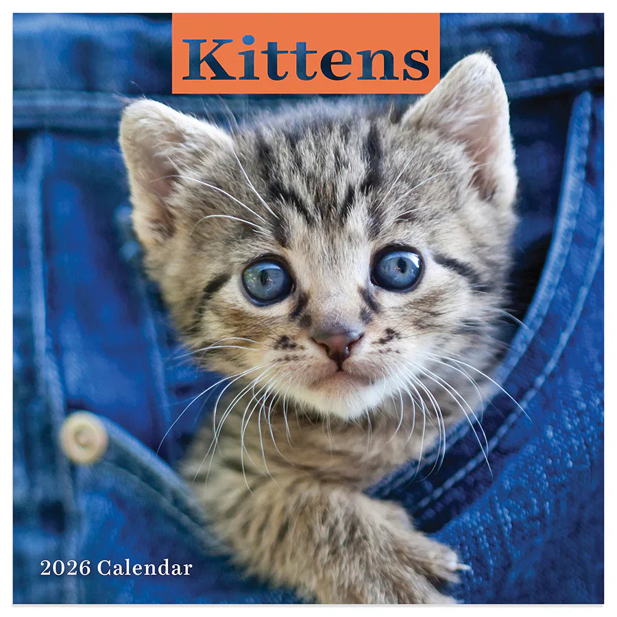2026 Kittens - Mini Wall Calendar
