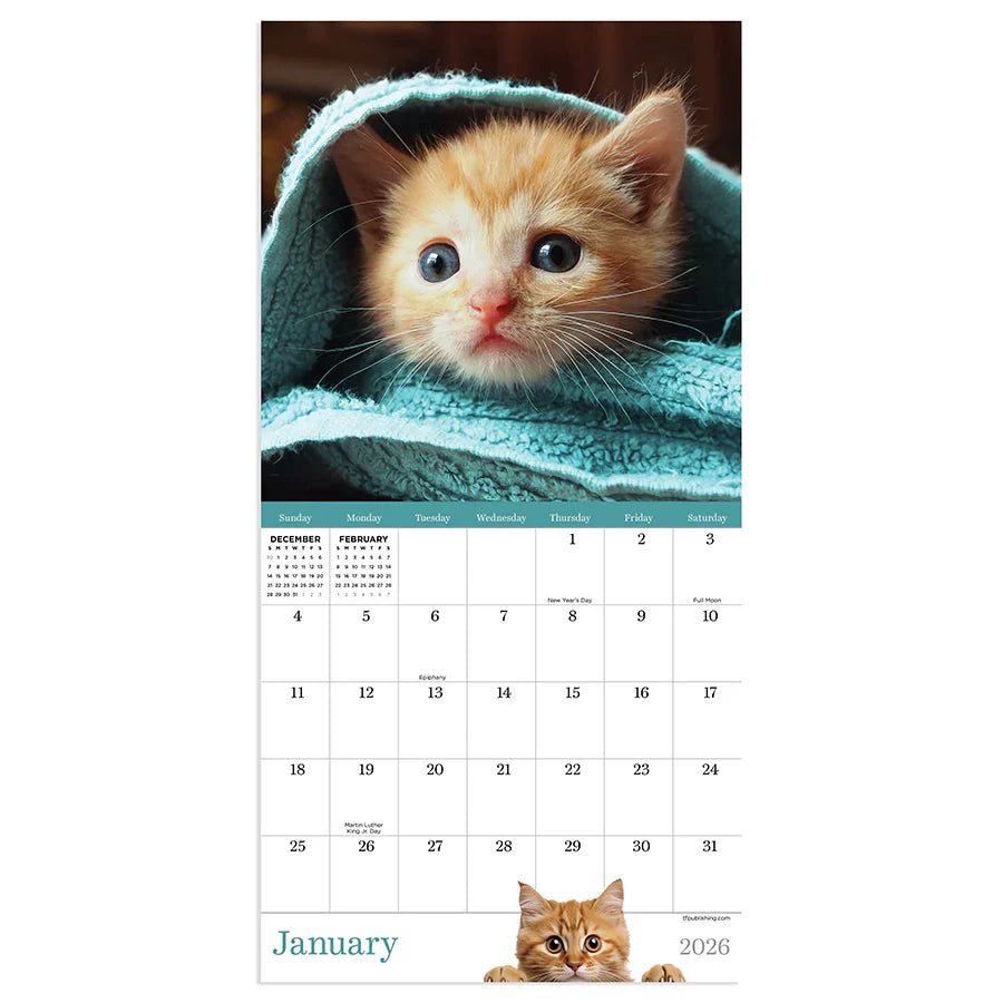 2026 Kittens - Mini Wall Calendar