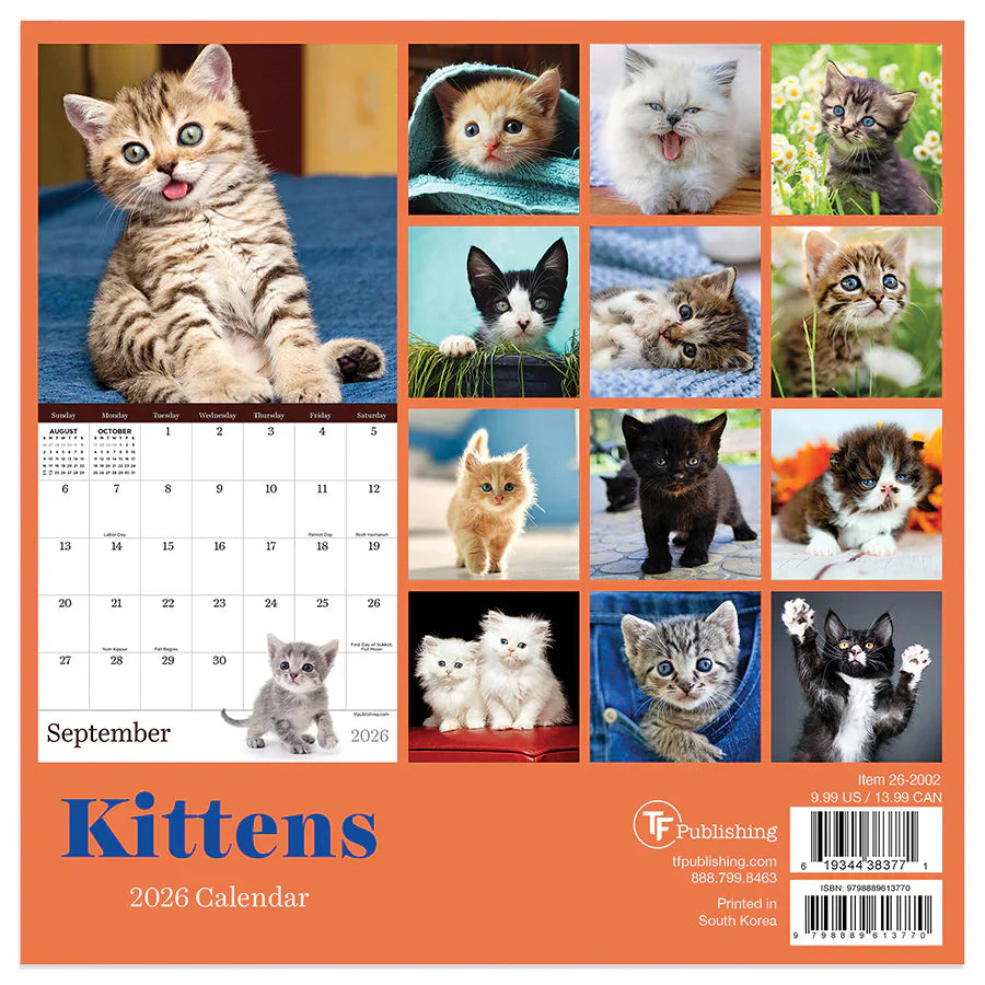 2026 Kittens - Mini Wall Calendar