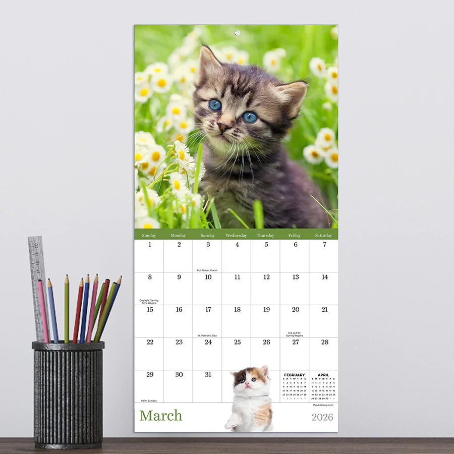 2026 Kittens - Mini Wall Calendar