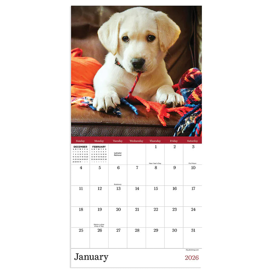 2026 Puppies - Mini Wall Calendar