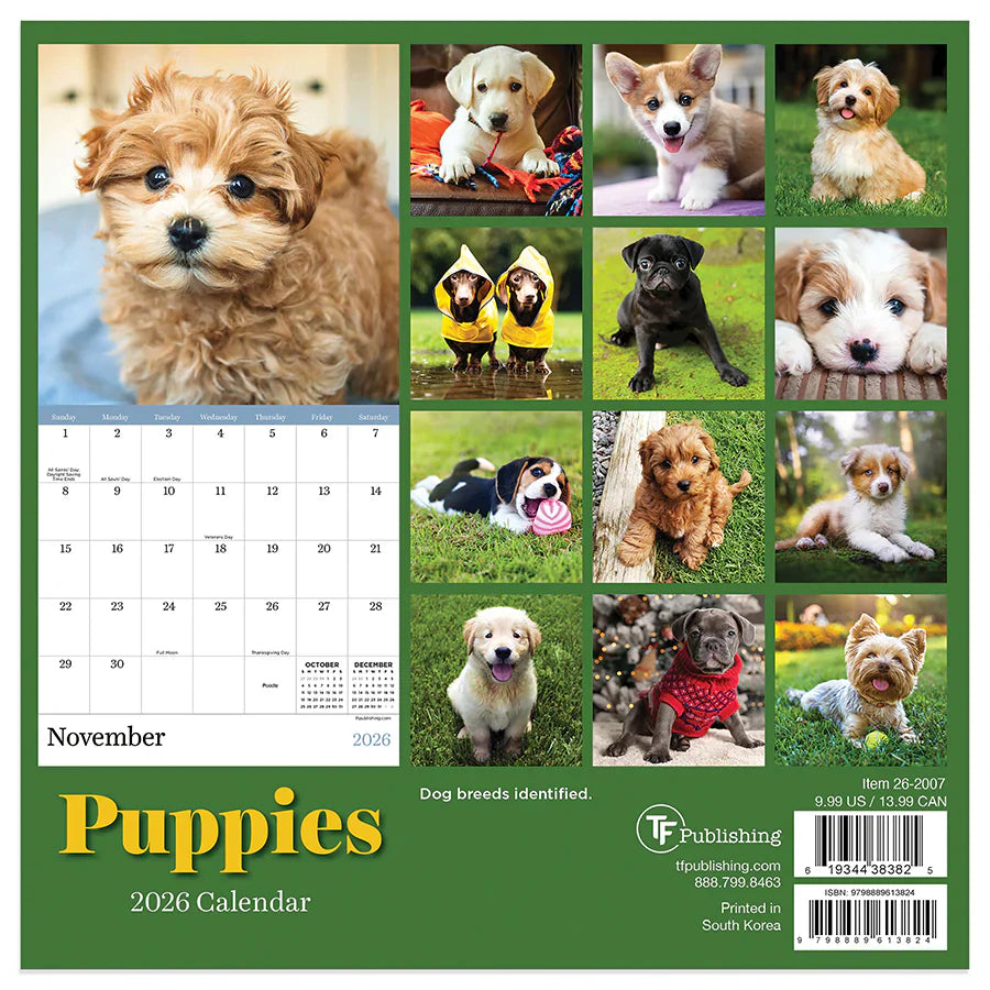 2026 Puppies - Mini Wall Calendar