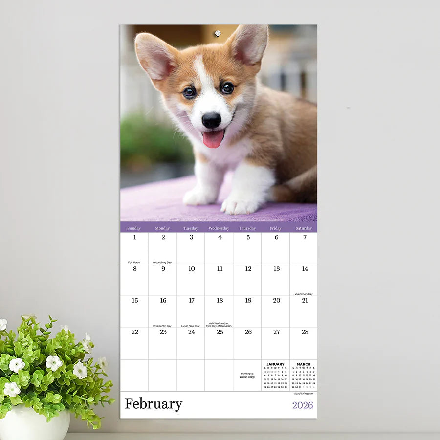 2026 Puppies - Mini Wall Calendar